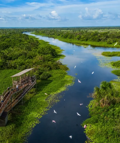 Ecoturismo sustentável: a importância da preservação de várzeas e parques naturais