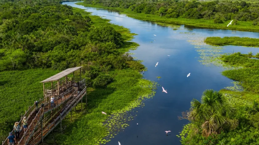 Ecoturismo sustentável: a importância da preservação de várzeas e parques naturais